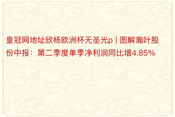 皇冠网地址欣杨欧洲杯无圣光p | 图解瀚叶股份中报：第二季度单季净利润同比增4.85%