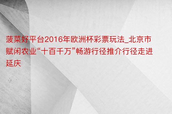 菠菜好平台2016年欧洲杯彩票玩法_北京市赋闲农业“十百千万”畅游行径推介行径走进延庆